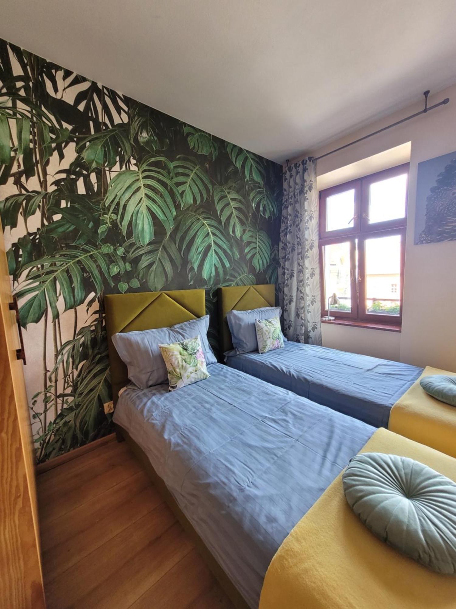 Apartment Tr 11 Nr 1 *